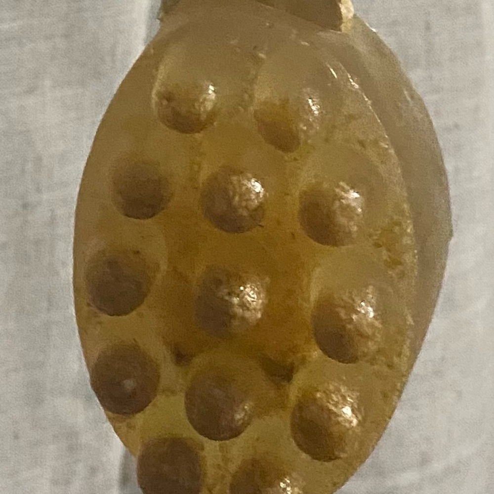 Long Handle Honey Oats Soap